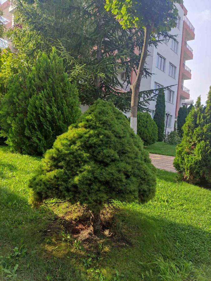 Ravda Sea View Apartment Luaran gambar
